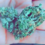 Store – gallery image 5