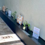 Store – gallery image 3