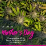 Store – gallery image 5