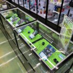 Store – gallery image 2