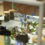 Store – gallery image 3