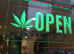 The Maine Cannabis Shop — Scarborough, ME