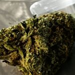 Store – gallery image 4