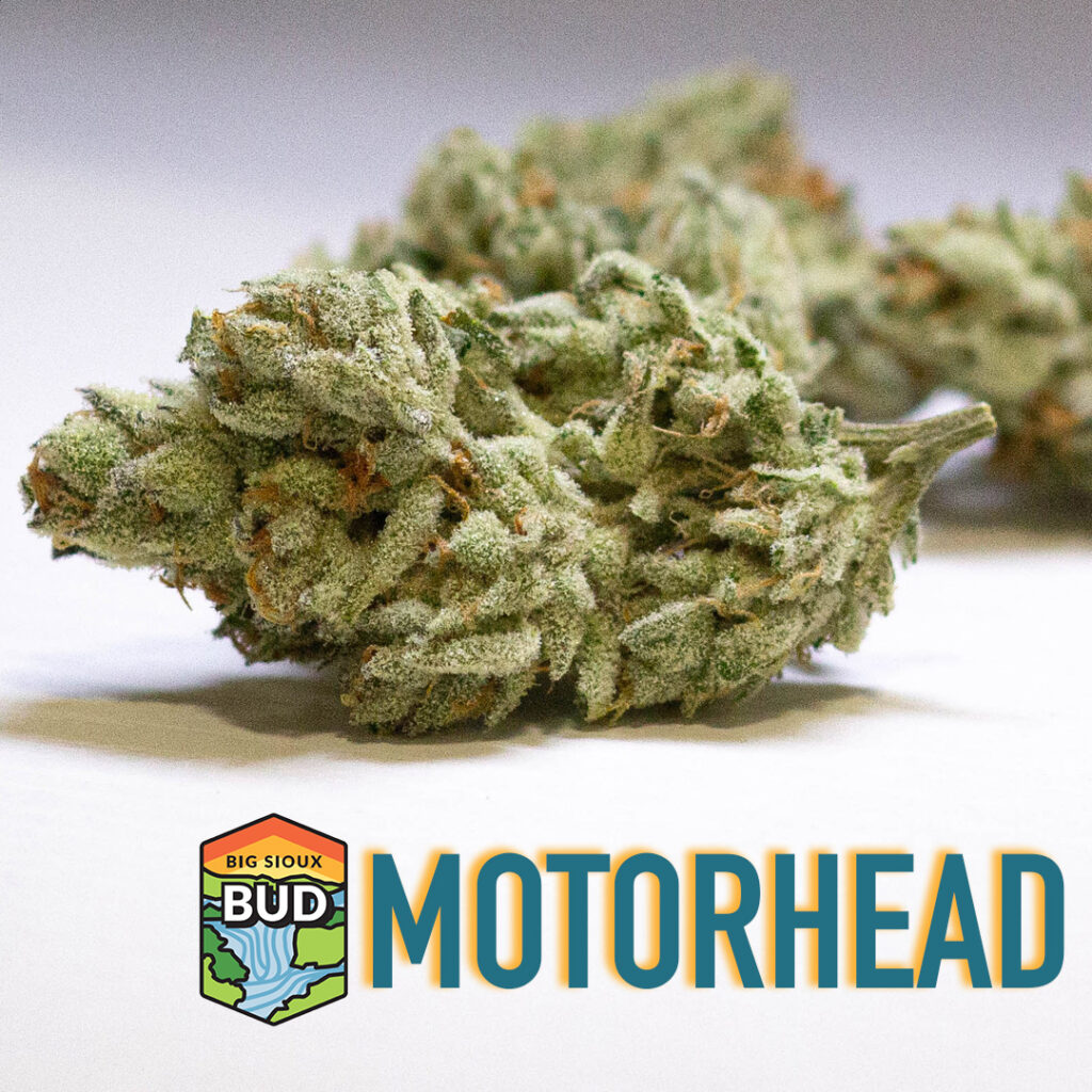 Store – main photo