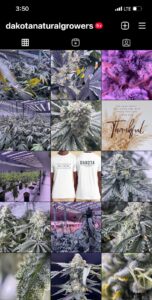 Dakota Natural Growers, INC — Vermillion, SD