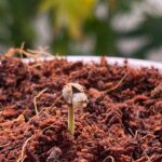 Store – gallery image 2