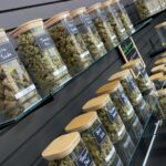 Store – gallery image 4