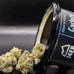 Store – gallery image 5