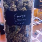 Store – gallery image 3