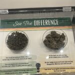 Store – gallery image 3