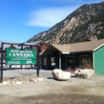 Store – gallery image 1