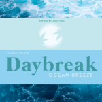 Store – gallery image 4