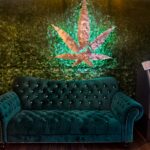 Store – gallery image 4