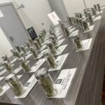 Store – gallery image 2