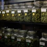 Store – gallery image 4