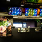 Store – gallery image 3