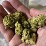 Store – gallery image 5