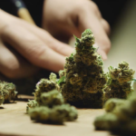 Store – gallery image 2