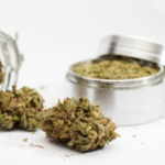 Store – gallery image 3