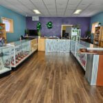 Store – gallery image 4