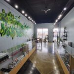 Store – gallery image 3