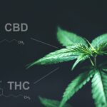 Store – gallery image 1