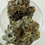 Store – gallery image 3