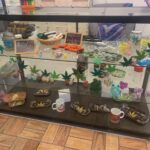 Store – gallery image 4