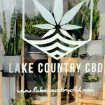 Store – gallery image 3