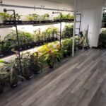 Store – gallery image 4