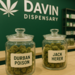 Store – gallery image 5