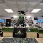 Store – gallery image 3