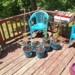 Store – gallery image 3