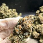 Store – gallery image 3