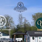 Store – gallery image 3