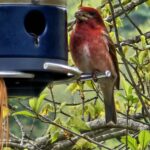 Store – gallery image 2