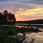 Store – gallery image 3