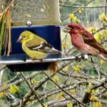 Store – gallery image 4