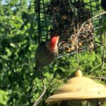 Store – gallery image 5