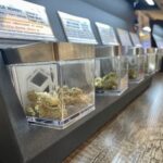 Store – gallery image 3