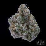 Store – gallery image 5