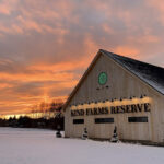 Store – gallery image 5