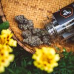 Store – gallery image 3