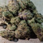 Store – gallery image 5