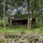 Store – gallery image 2