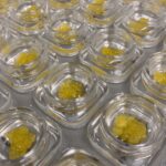 Store – gallery image 4