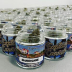 Store – gallery image 5