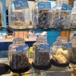 Store – gallery image 3