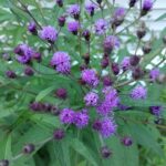 Store – gallery image 4