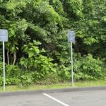 Store – gallery image 5